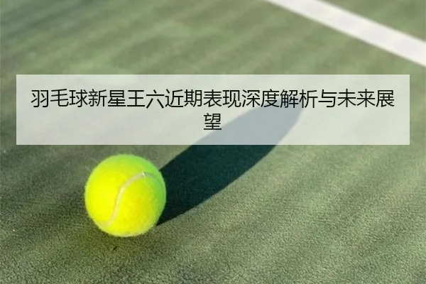 羽毛球新星王六近期表现深度解析与未来展望